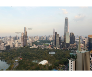 นิยามใหม่ของ Super Luxury Freehold บนถนนวิทยุ